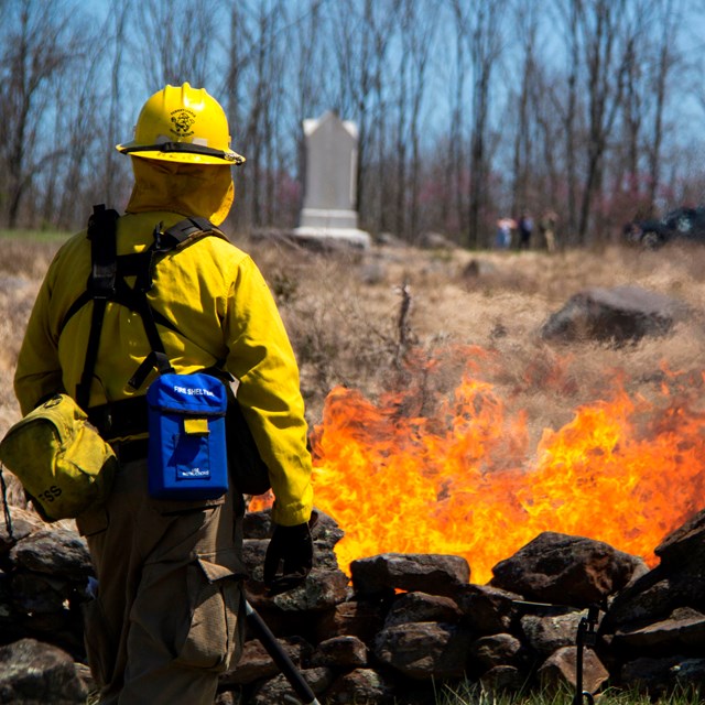 Wildland Fire fighter watches fire in progress