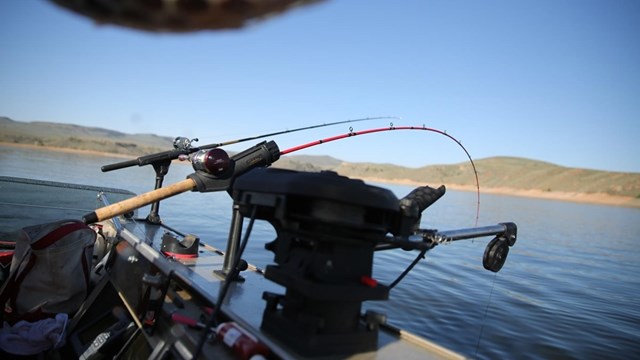 two fishing poles bent with tension off of a boat