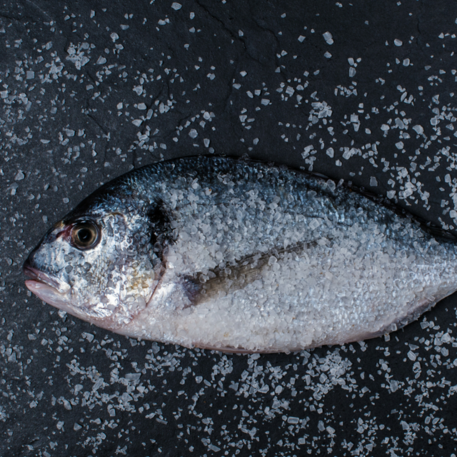 Responsible Fishing - Fish & Fishing (U.S. National Park Service)