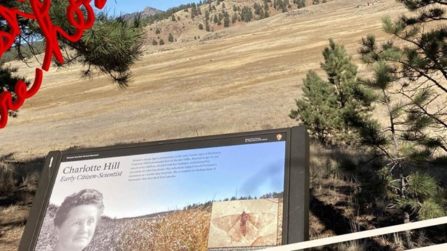 Photo of a wayside and overlook of grassy valley.