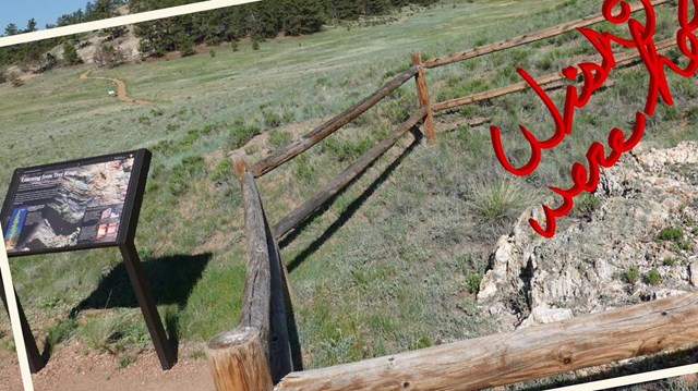 A short petrified redwood stump and a wayside.