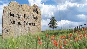 carved stone entrance sign with red wildflowers in front of sunny sky background at entrance