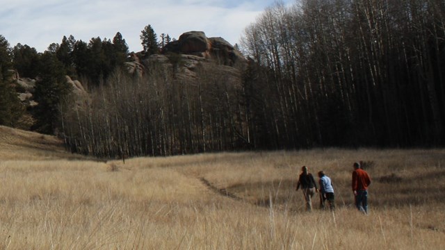 Hike at Florissant Fossil Beds National Monument