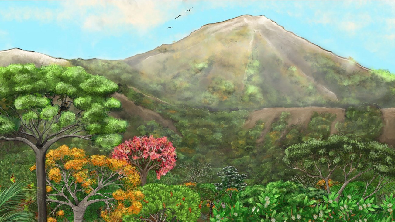 Artist reconstruction of a dry tropical forest with an inlet on the left and mountains in the back..