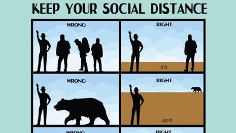 Artwork featuring hikers staying six feet away from other hikers and further from wild animals