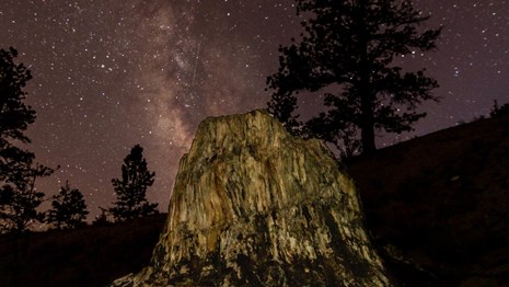 Big Stump, petrified redwood, with Milky Way galaxy behind it and tree in silhouette. 
