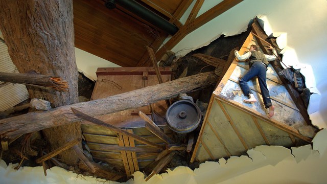 Museum exhibit of tree and flood debris breaching the side of a house.