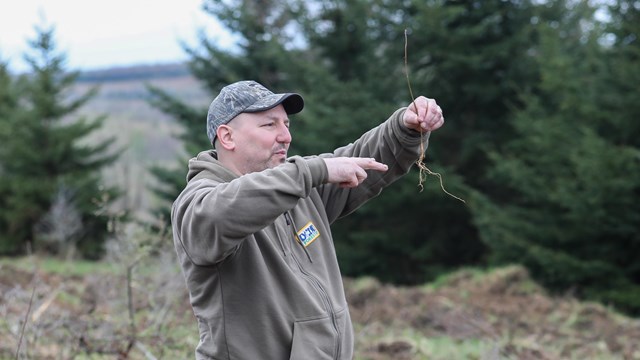 Forester holding a seedling tree.