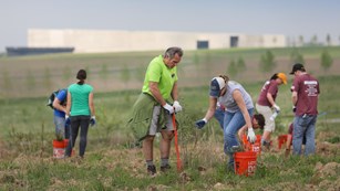 Volunteers planting bare root tree seedlings with 8 lb dibble bars