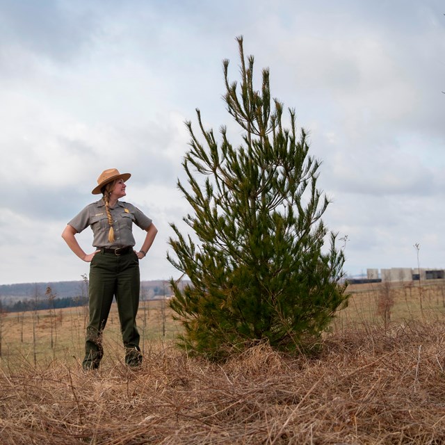 Park Ranger Katie standing next to a year.