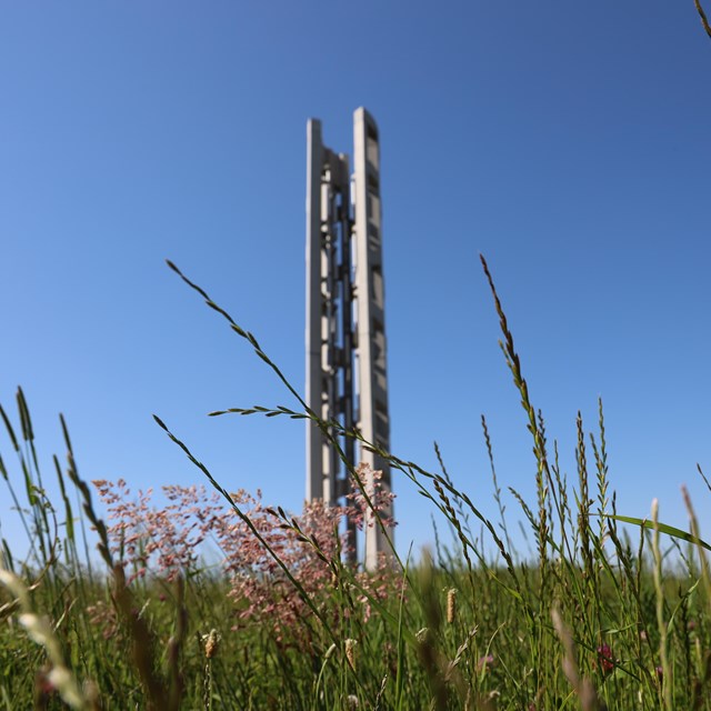 The Tower of Voices from a distance with wildflowers and green grass.