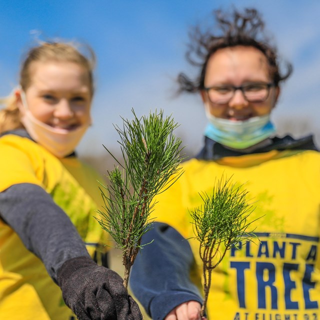 Volunteers planting bare root tree seedlings with 8 lb dibble bars 