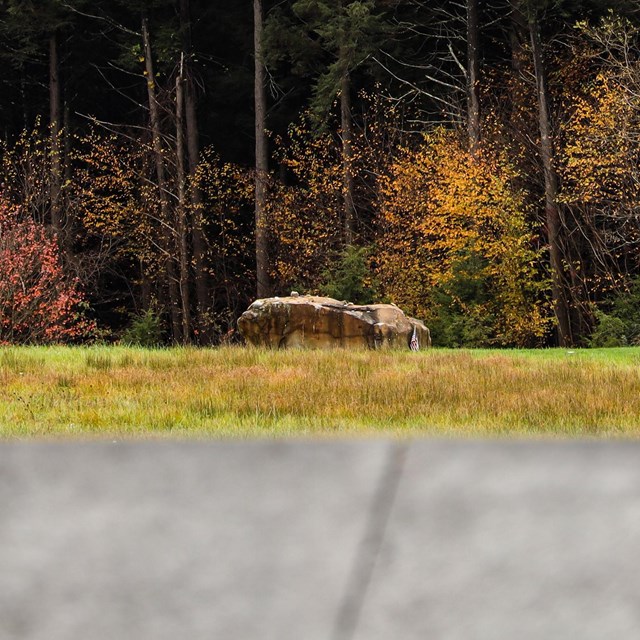 A large boulder sits in the middle of a quiet field. A line of trees stand in the distance.
