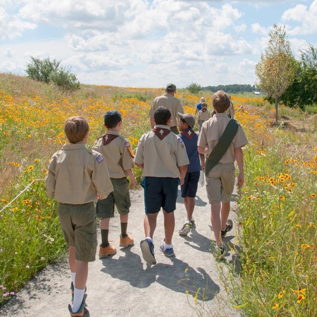 A group of boy scouts walking on a trail surrounded by yellow wildflowers with blue sky overhead. 