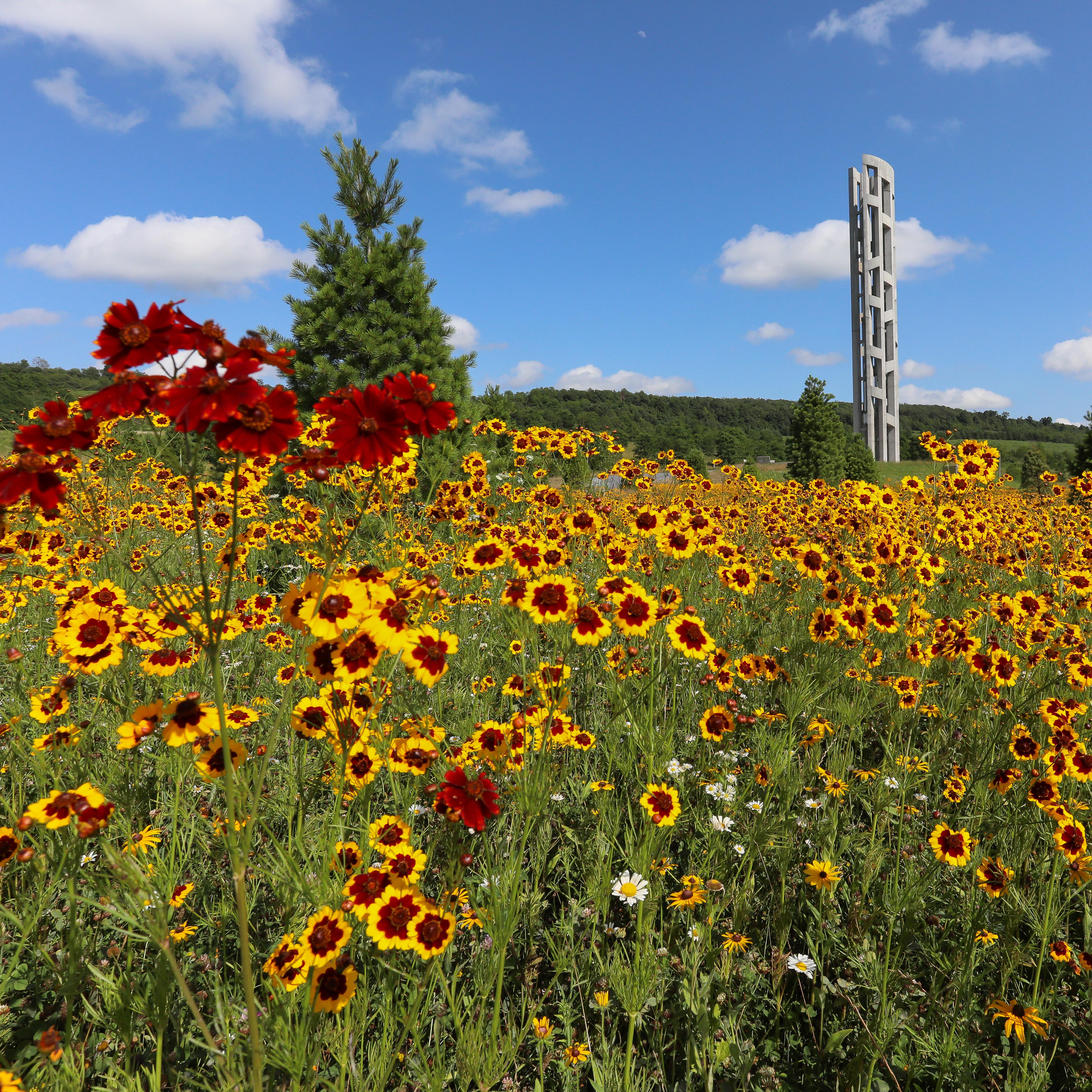 Plan Your Visit - Flight 93 National Memorial (U.S. National Park