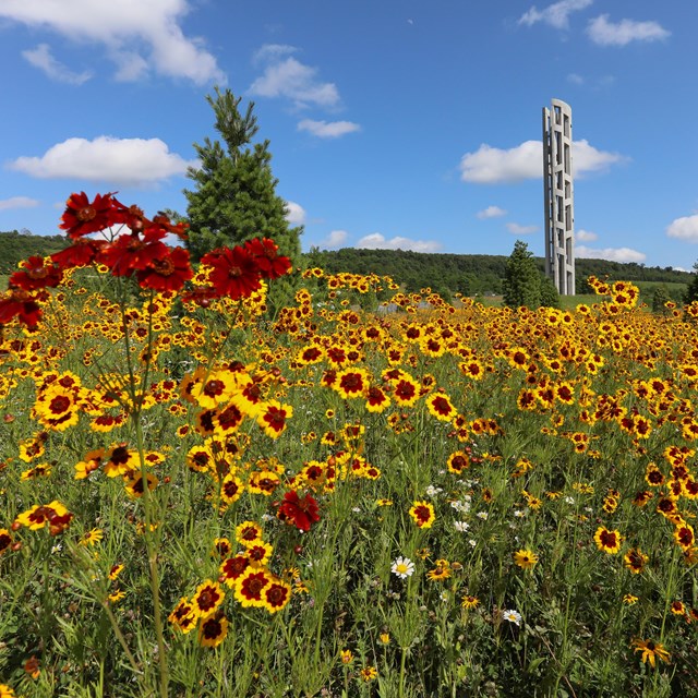 Tower of Voices is in the distance with blue sky and small yellow flowers amidst green grass..