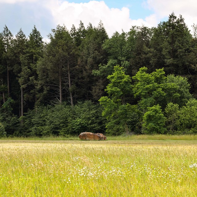 A sandstone boulder lies in the field where Flight 93 crashed on September 11, 2001