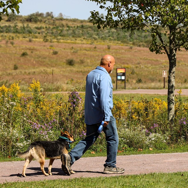 A regular visitor walking his dog on the Allee walkway.