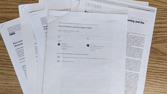 Scientific papers spread on a desk. The top paper is titled Fossil Evidence and the Origins of Bats.