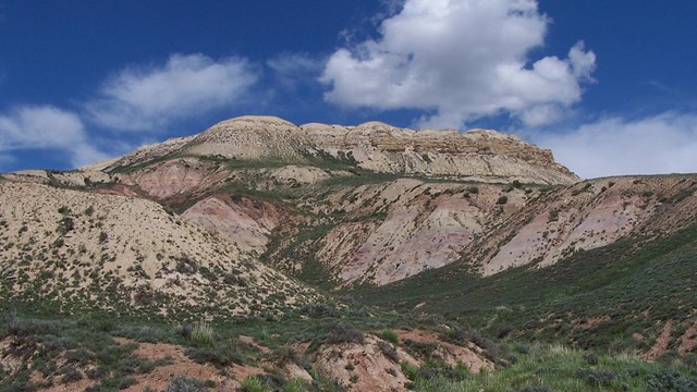 A tan ridge with green vegetation on the sides, a bright blue sky with fluffy clouds above.