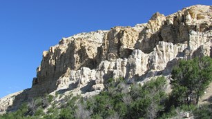 A rocky outcropping of the Fossil Butte Member on a ridge with vegetation growing below.