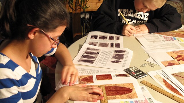 Children measuring fossils leaves printed on worksheets.