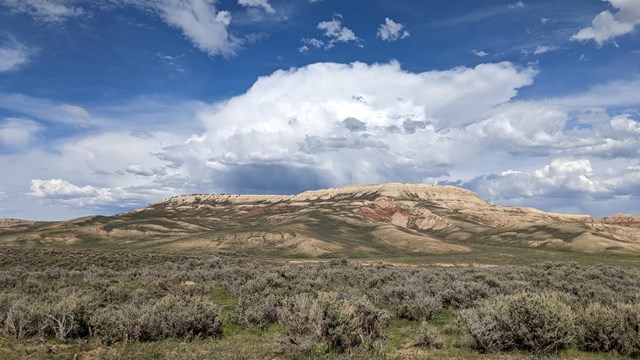 Fossil Butte with blue sky and rain clouds above and sagebrush in the foreground.