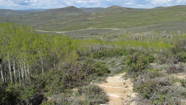 A trail leading down amid sagebrush, aspen to the left, green hills out into the distance.