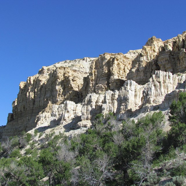 A rocky outcropping on a ridge with vegetation growing below.