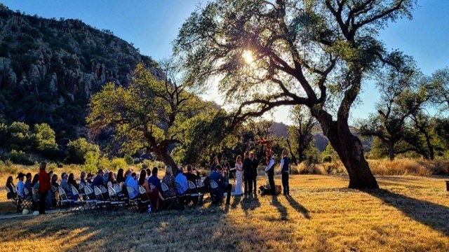 A wedding ceremony under a tree.