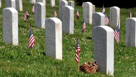 In 1867, Fort Donelson Cemetery was established as the final resting for Union soldiers and sailors.