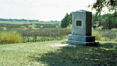 Picture of the Bloody Marsh Site featuring the Colonial Dames Monument
