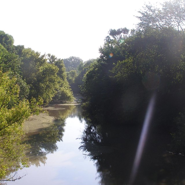 River with trees on both banks.