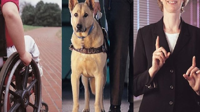 Wheelchair, service dog, and sign language interpreter. 