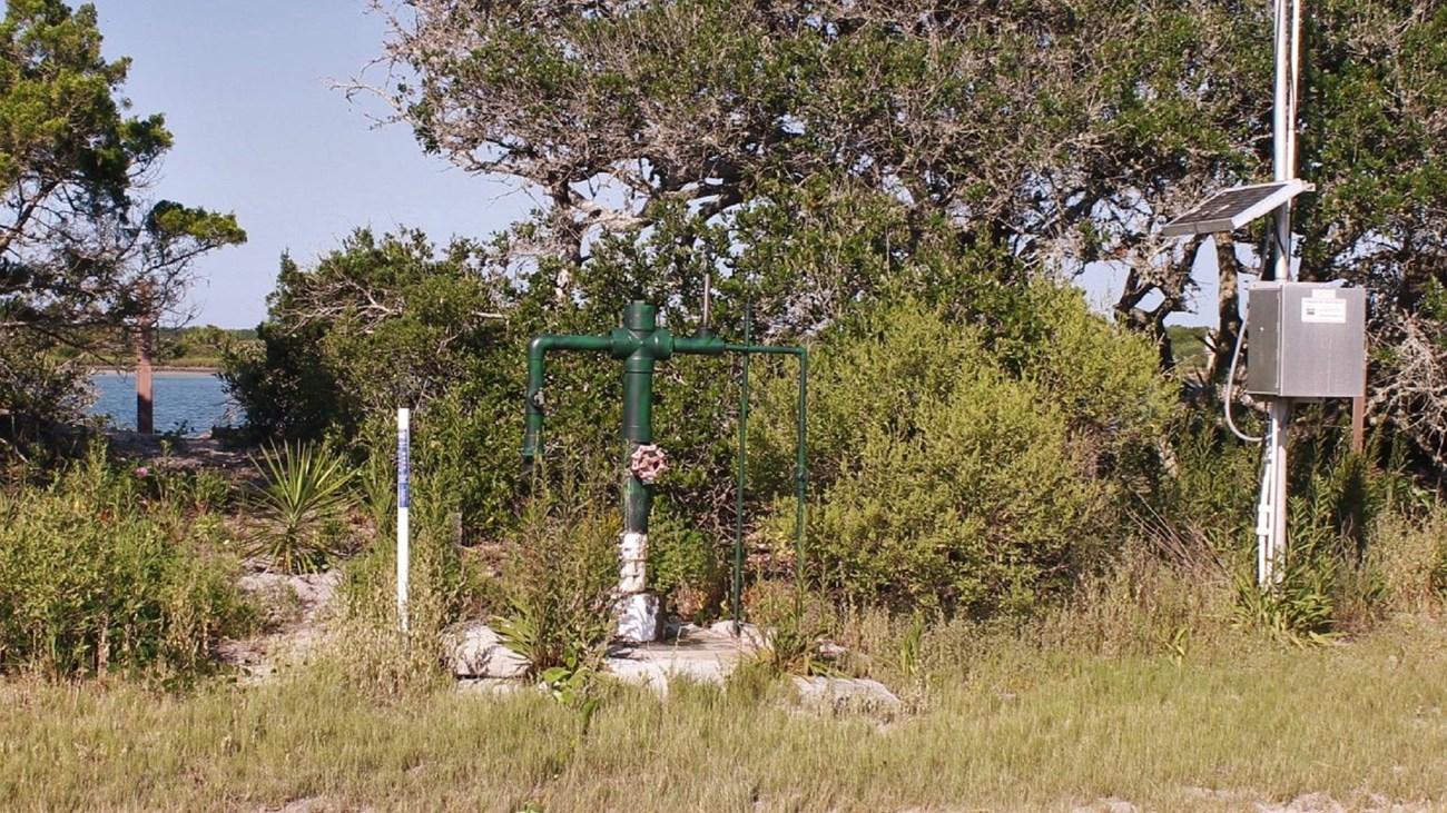 Pipes surrounded by rocks and bushes