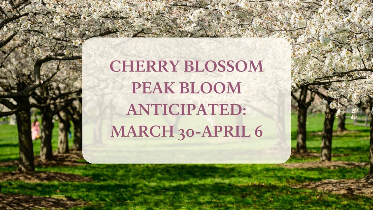 Large group of visitors assisting with folding a large American flag