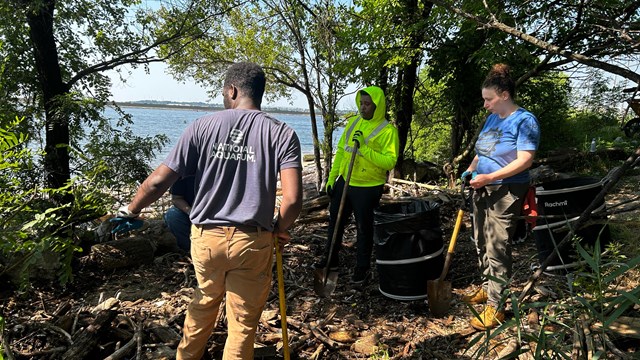 Wetlands of Fort McHenry
