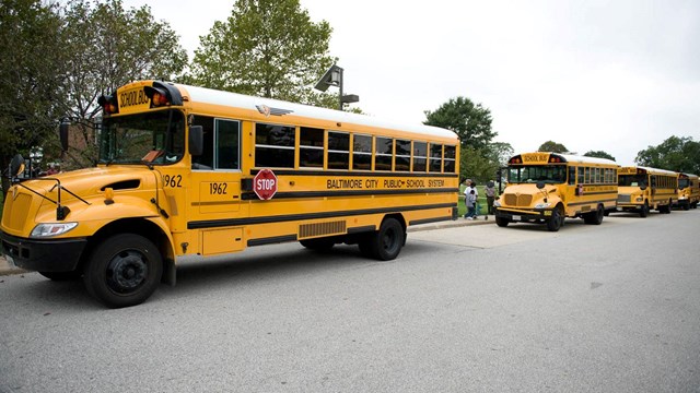 School buses lined up along road