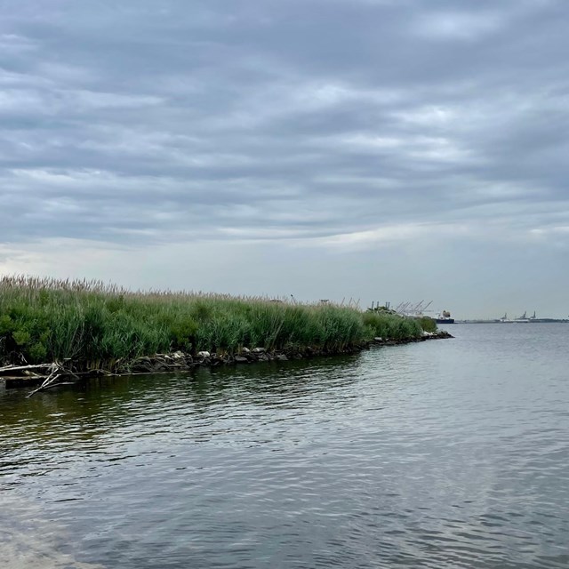 Fort McHenry Wetlands
