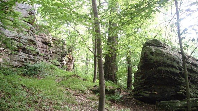 a rock outcropping about two stories high in the woods