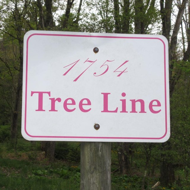 A sign saying 1754 Tree Line