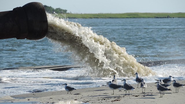 Closeup image of a beneficial dredge in the Savannah River with birds standing by.