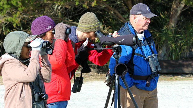 Three researchers with binoculars watch for birds with a lead researcher standing next to them.