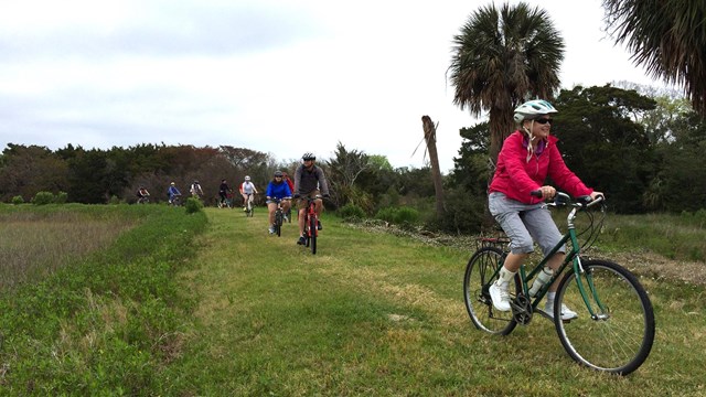 A large group of cyclists on a levy trail. 