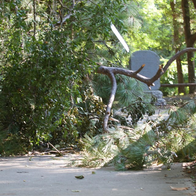 Damage after Hurricane Arthur in 2014