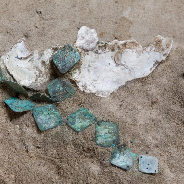 Several oxidized blue-grey copper square fragments in wet sand with seashells around them