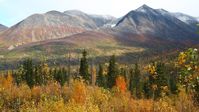 Mountain and valley with fall colors 