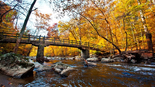 Bridge over a creek in woods turned fall colors