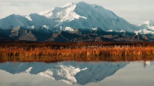 A mountain and reddish grasslands also reflected in a lake