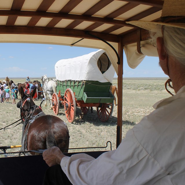 looking out the front of a covered wagon at a wagon train and mounted cavalryman